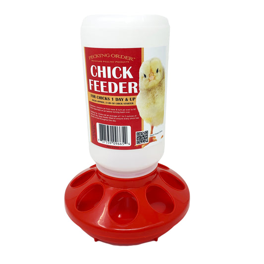 Chick Feeder