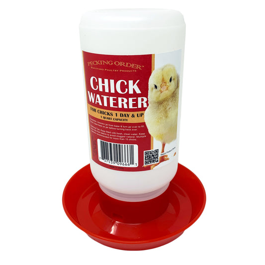 Chick Waterer