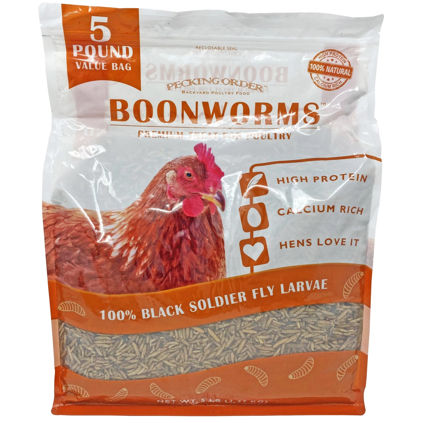 Boonworms