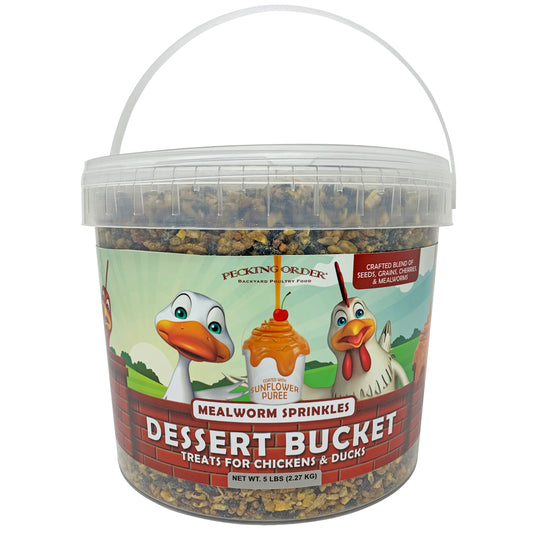 Dessert Bucket - Mealworm Sprinkles