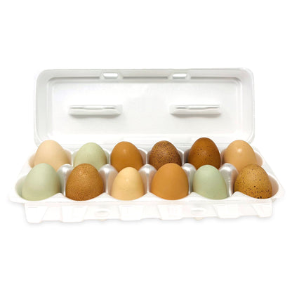 Foam Egg Cartons - White