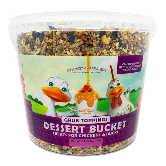 Dessert Bucket - Grub Toppings