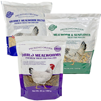 Mealworm Blend Combo Pack