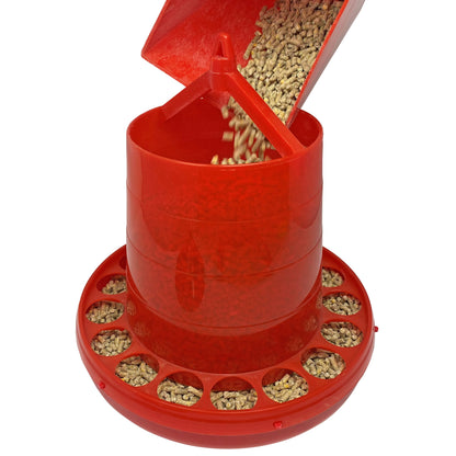 Poultry Feeder and Waterer Combo